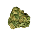 avaay Signature 31/1 GOG Gossip Gun